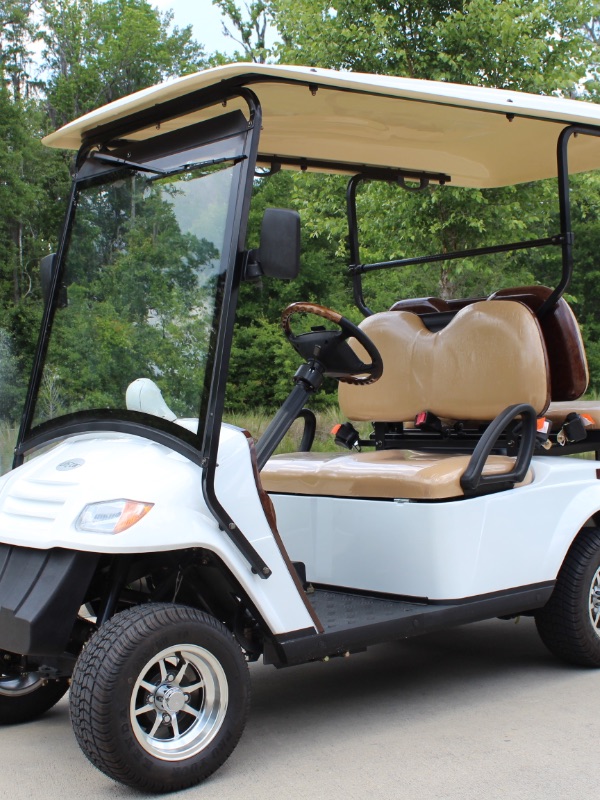 Power Cart Rental